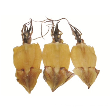DRIED SQUID (NORTH PACIFIC)